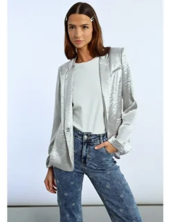 Blazer con cuello solapa en color metalizado