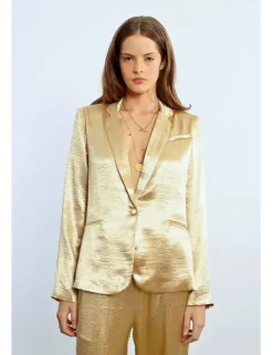 Blazer con cuello solapa en color metalizado