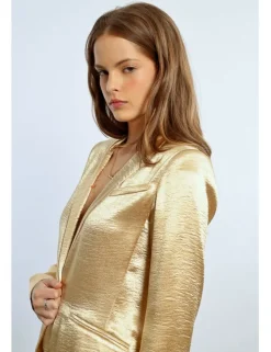 Blazer con cuello solapa en color metalizado
